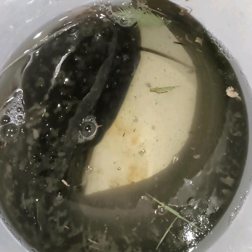 改名字还有次数