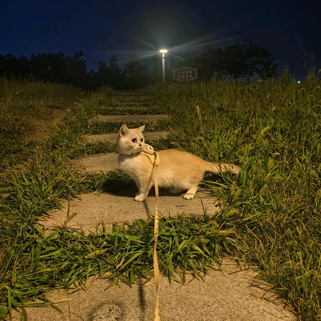 A玫斯宠物食品吉林负责人小赵