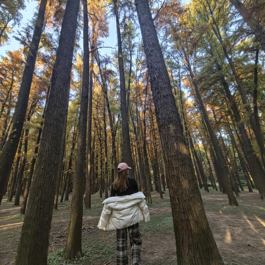 ༺ 愉ᰔ悦 yi 生 ༻。