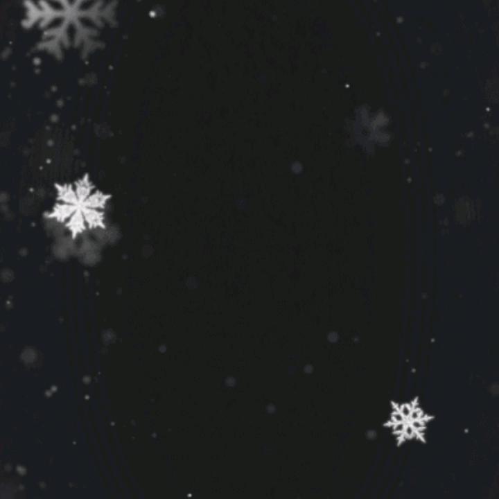 *🎶🕊✨我的宝