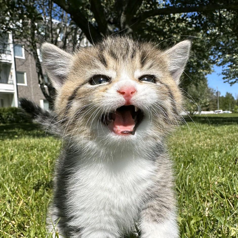 AAA土特产代购小邓