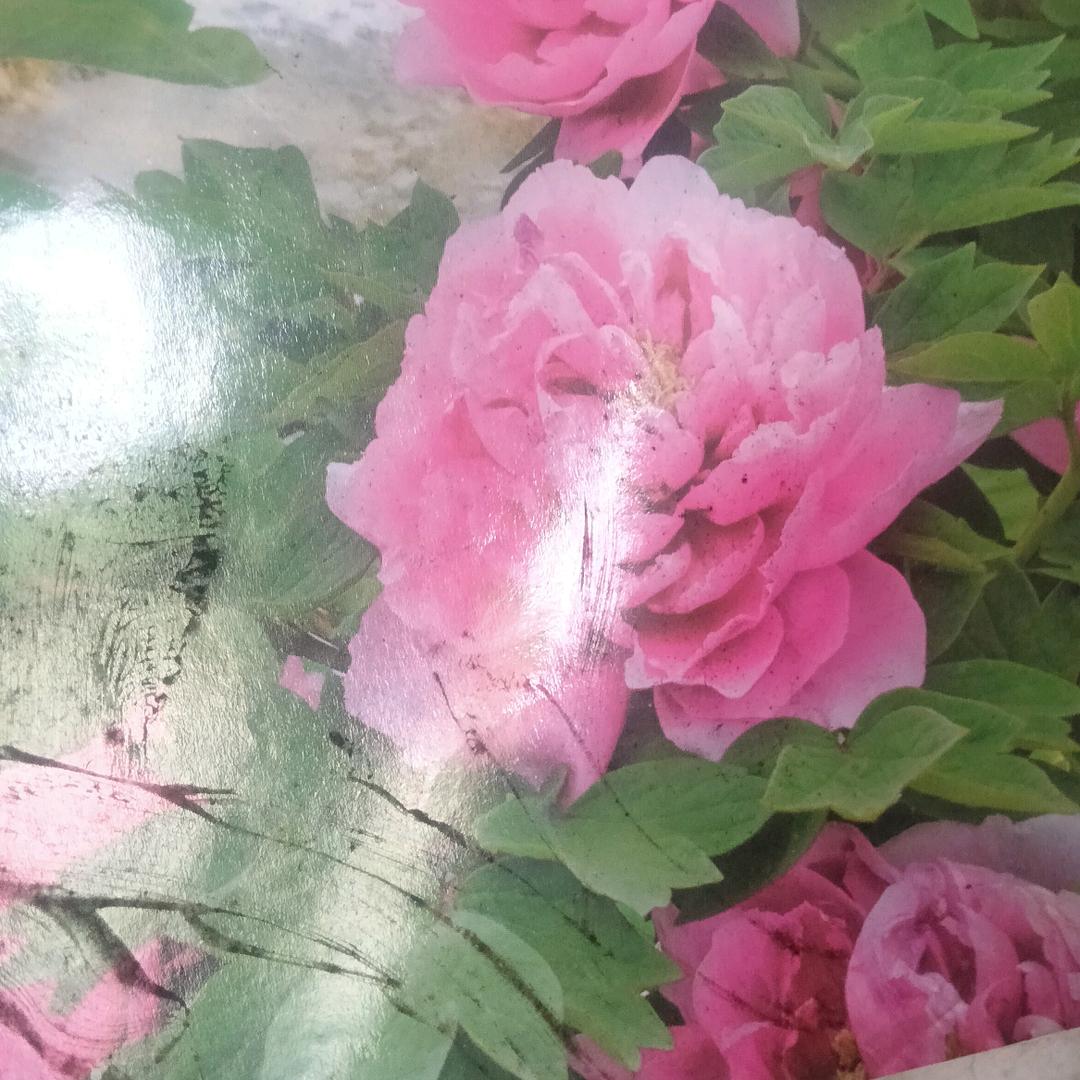 人要开心