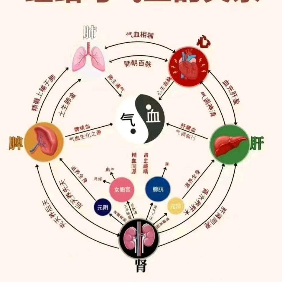 云淡凤轻
