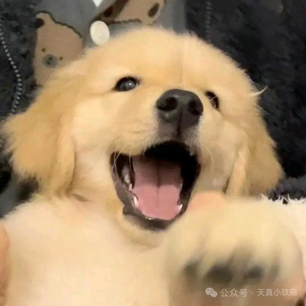 晴雅.