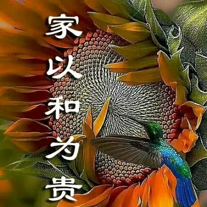 风雨过后见彩虹