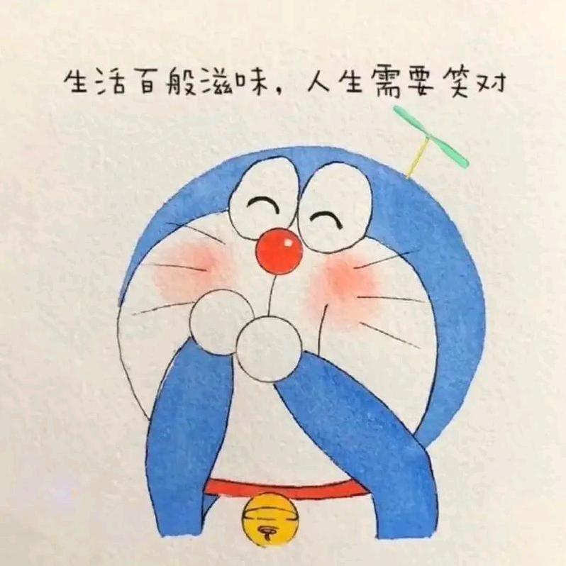 会飞的猪🐷