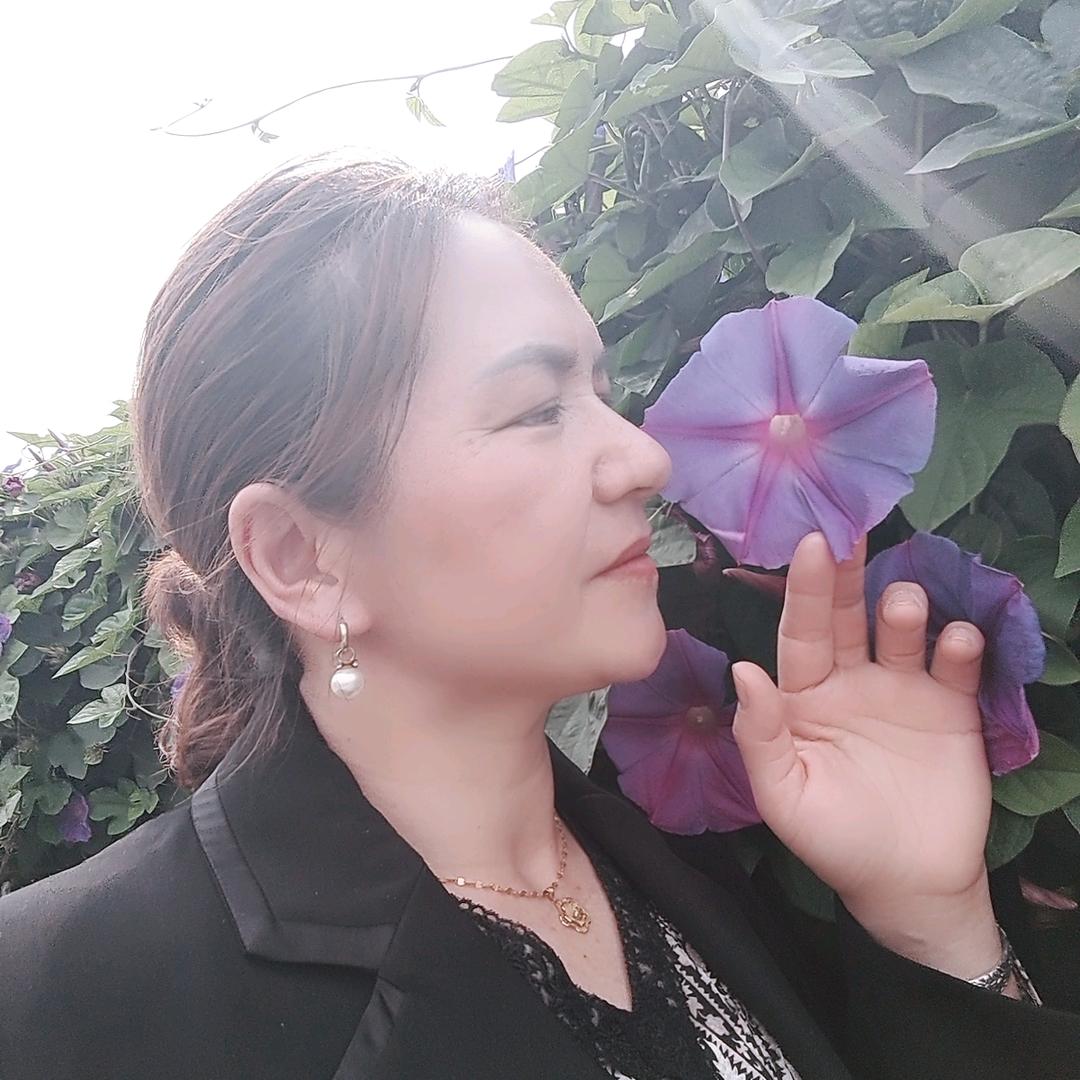 玫瑰