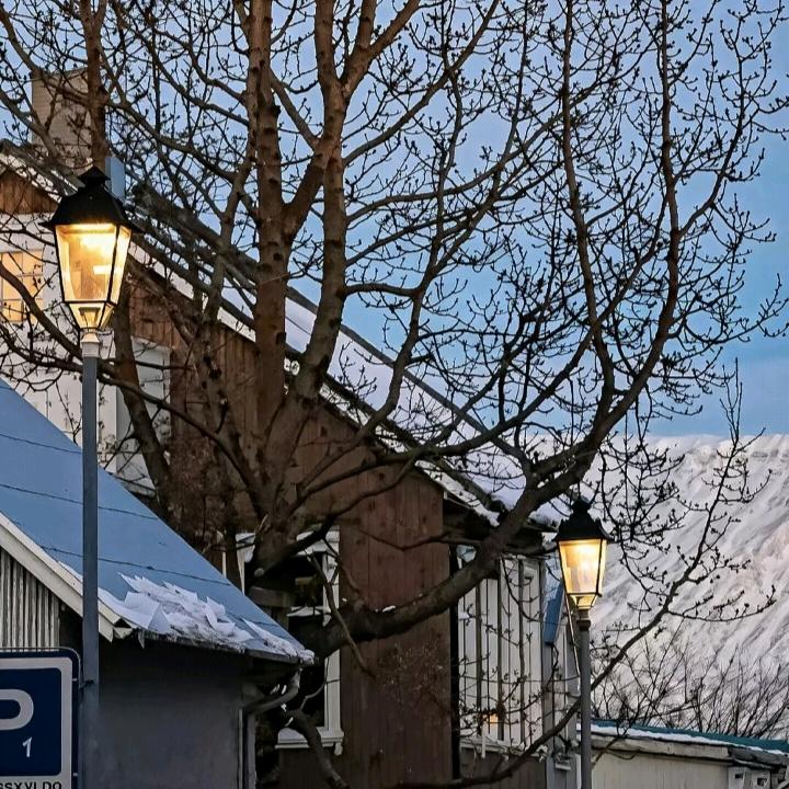 叹息桥的风筝🪁🎵