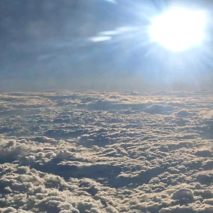 上海奕然航线Alex