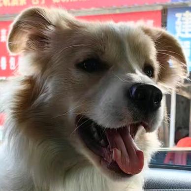 发发发