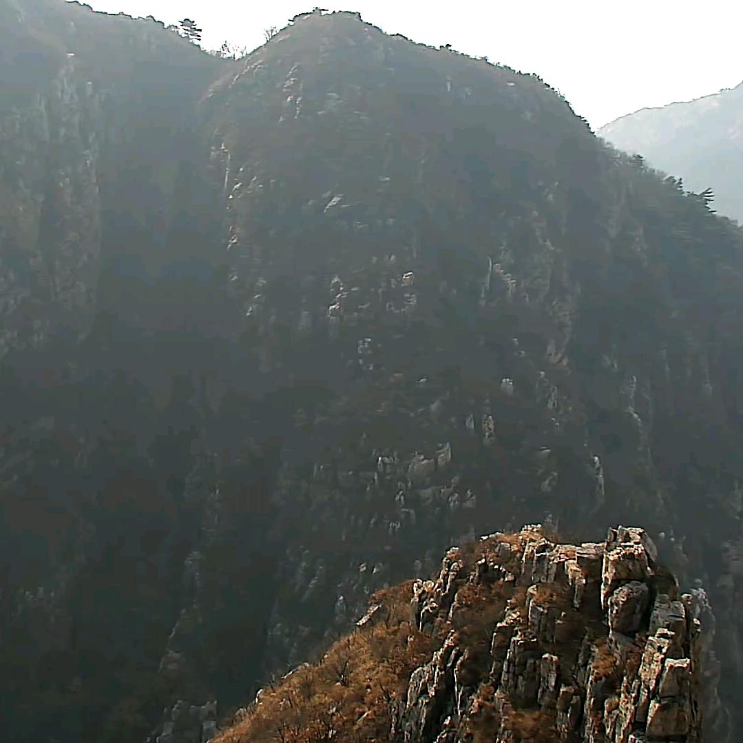 明明酒仓宠粉号