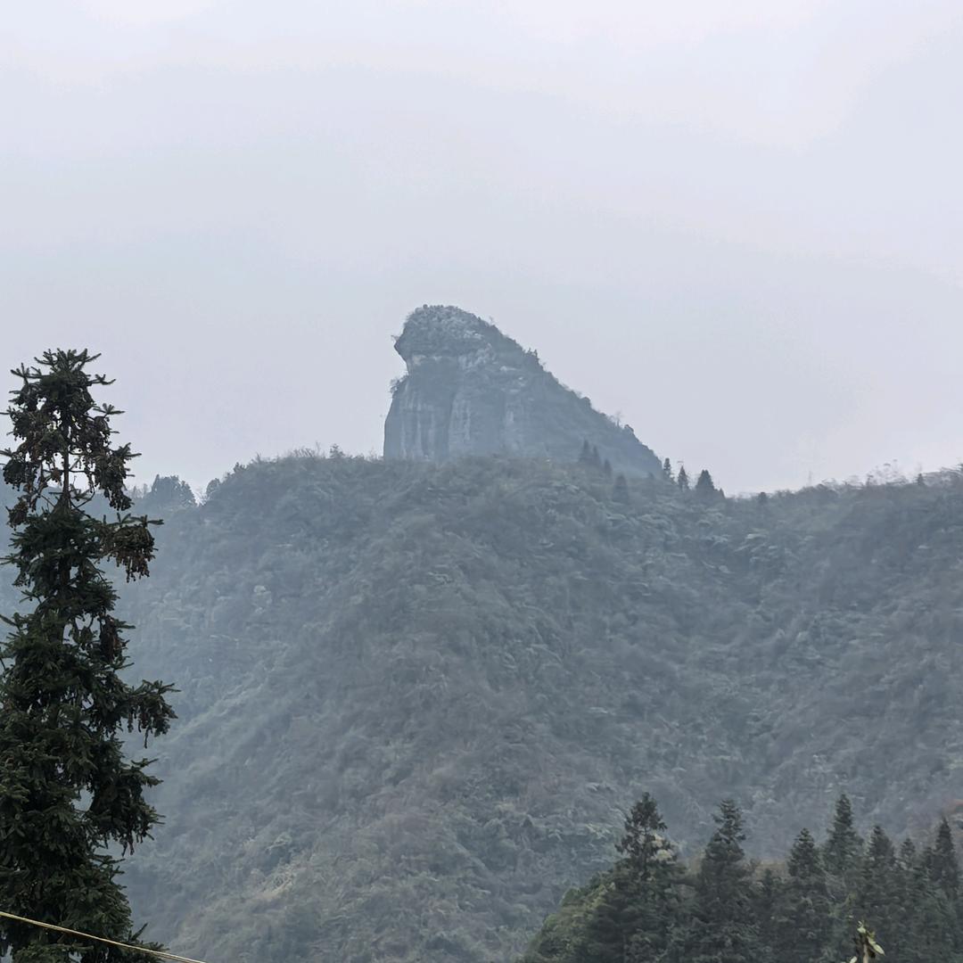 三毛哥