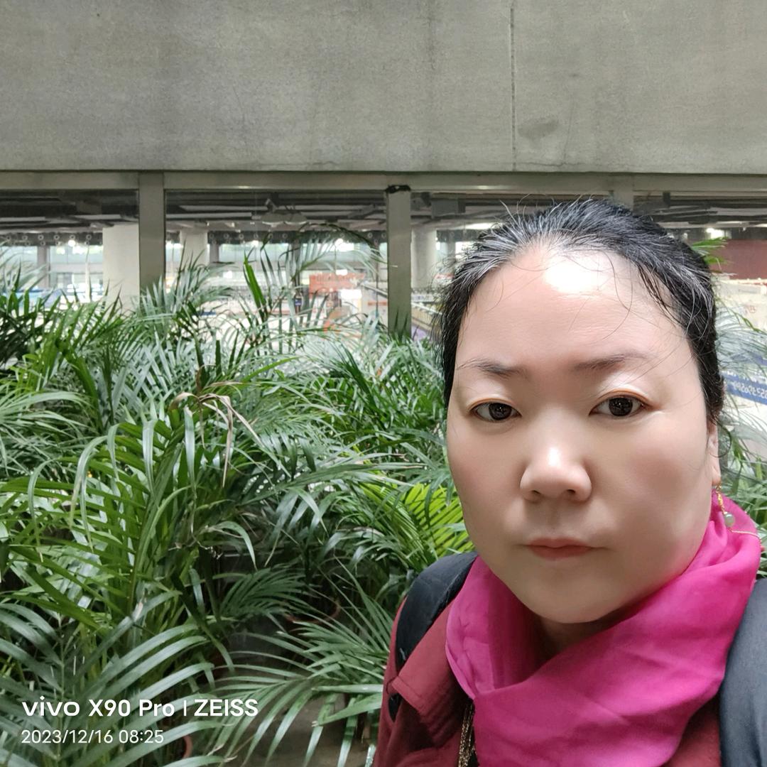 热辣滚烫人生华华（情感阅读）