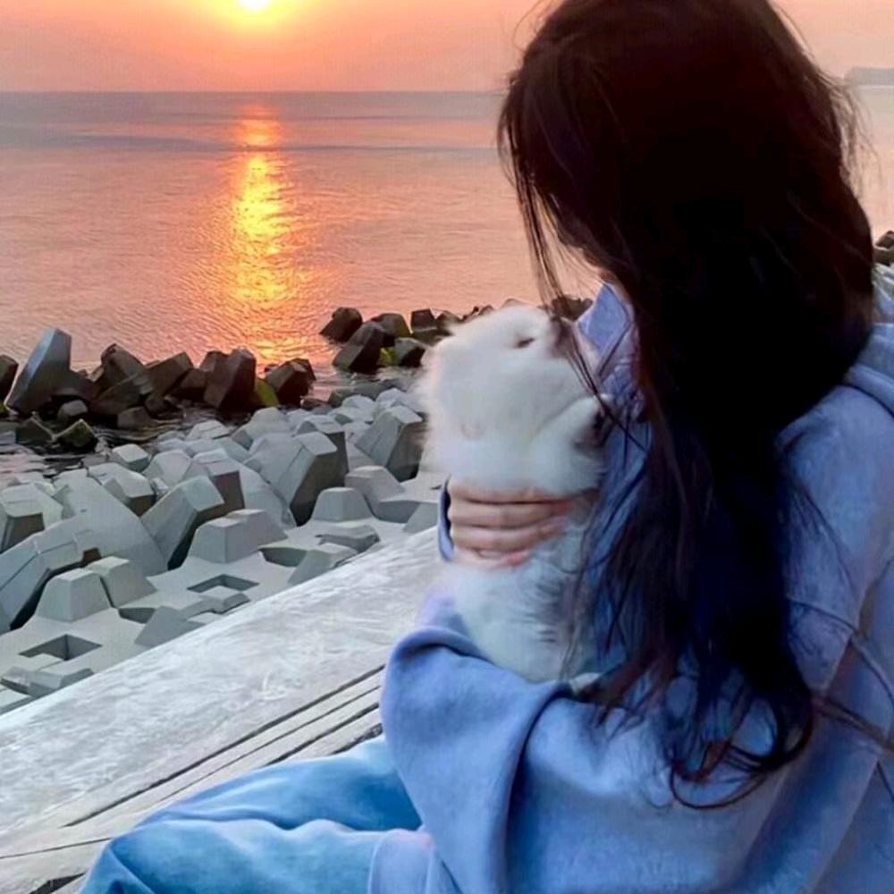 鱼儿♥