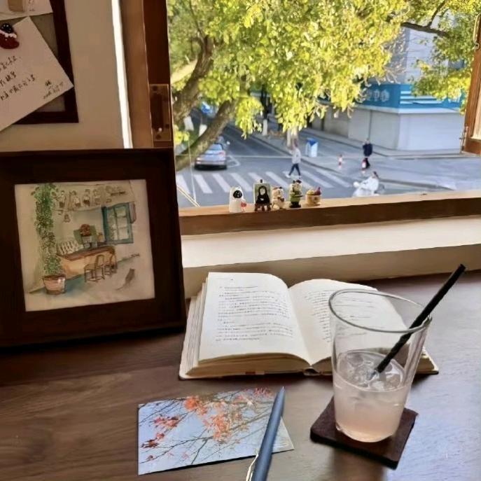 爱吃汉堡的新苗