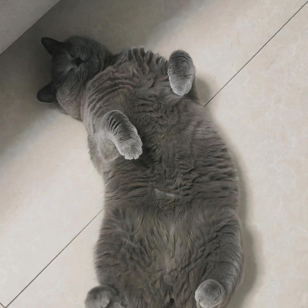早睡