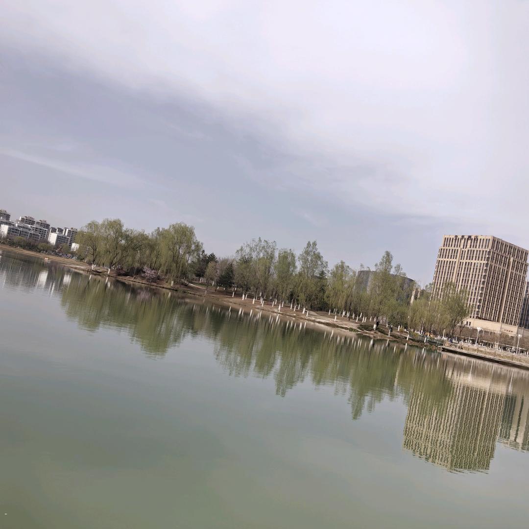 丫丫