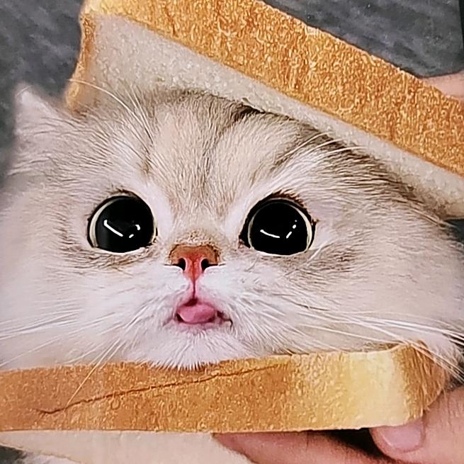 喵呜影视