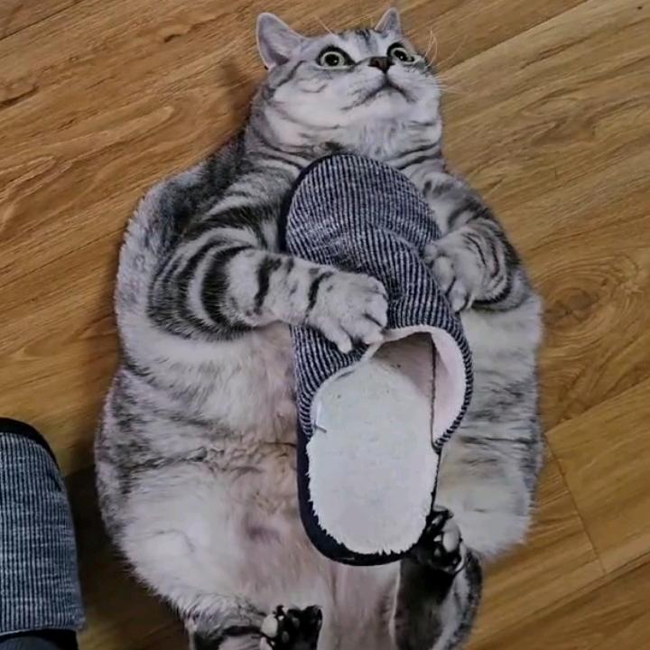 596286418