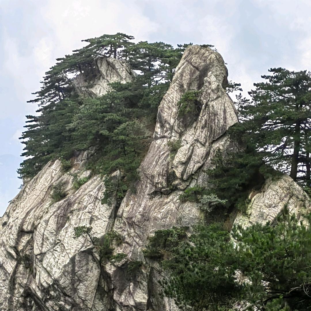 謝红梅