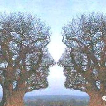 爱在阳光下《🐇🐇🐇))