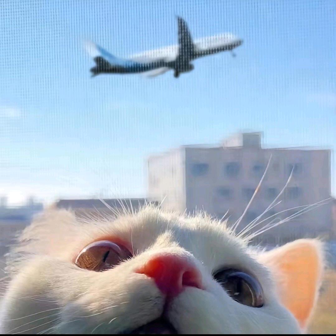 承己