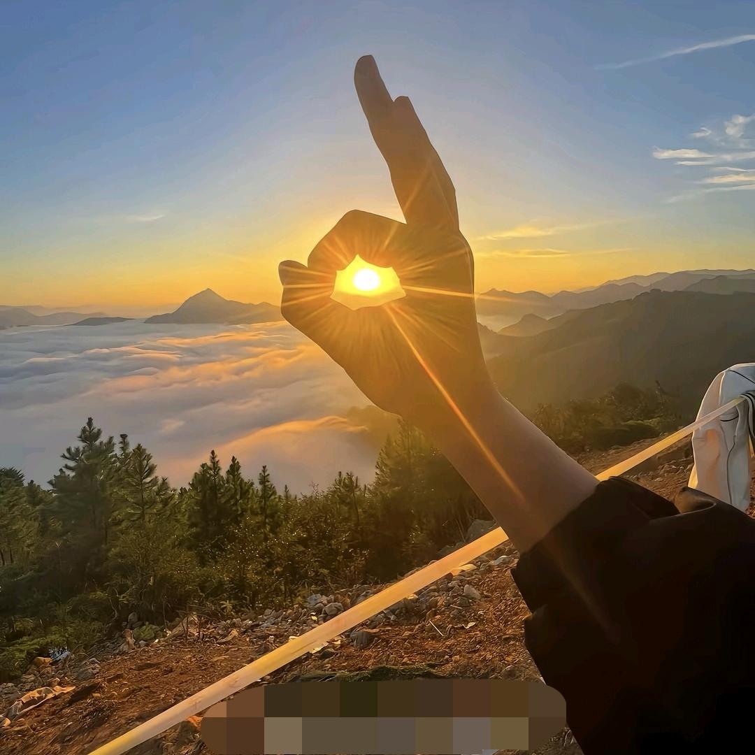 @㞮孞🦋（chu. xin)