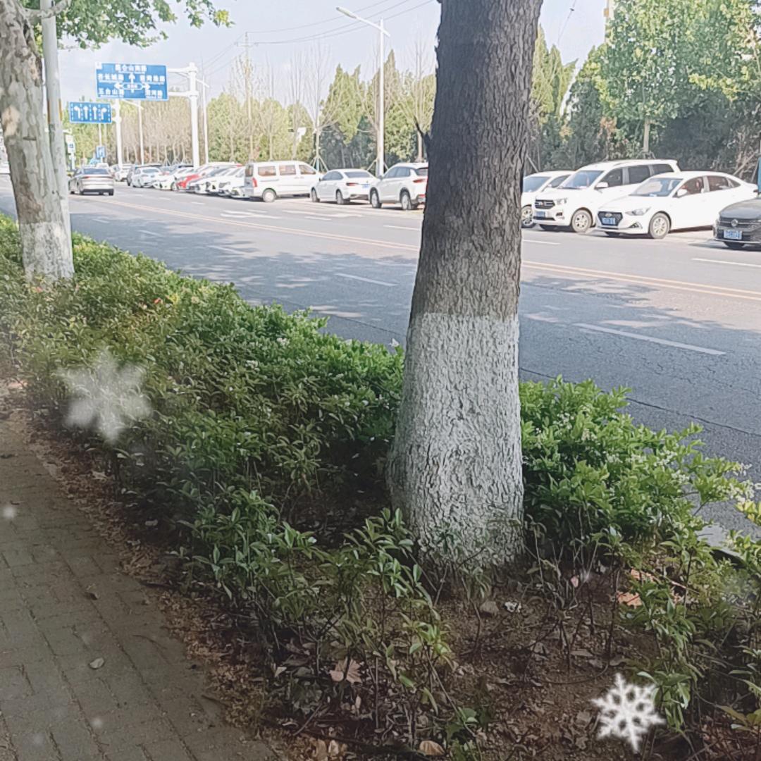 王大二