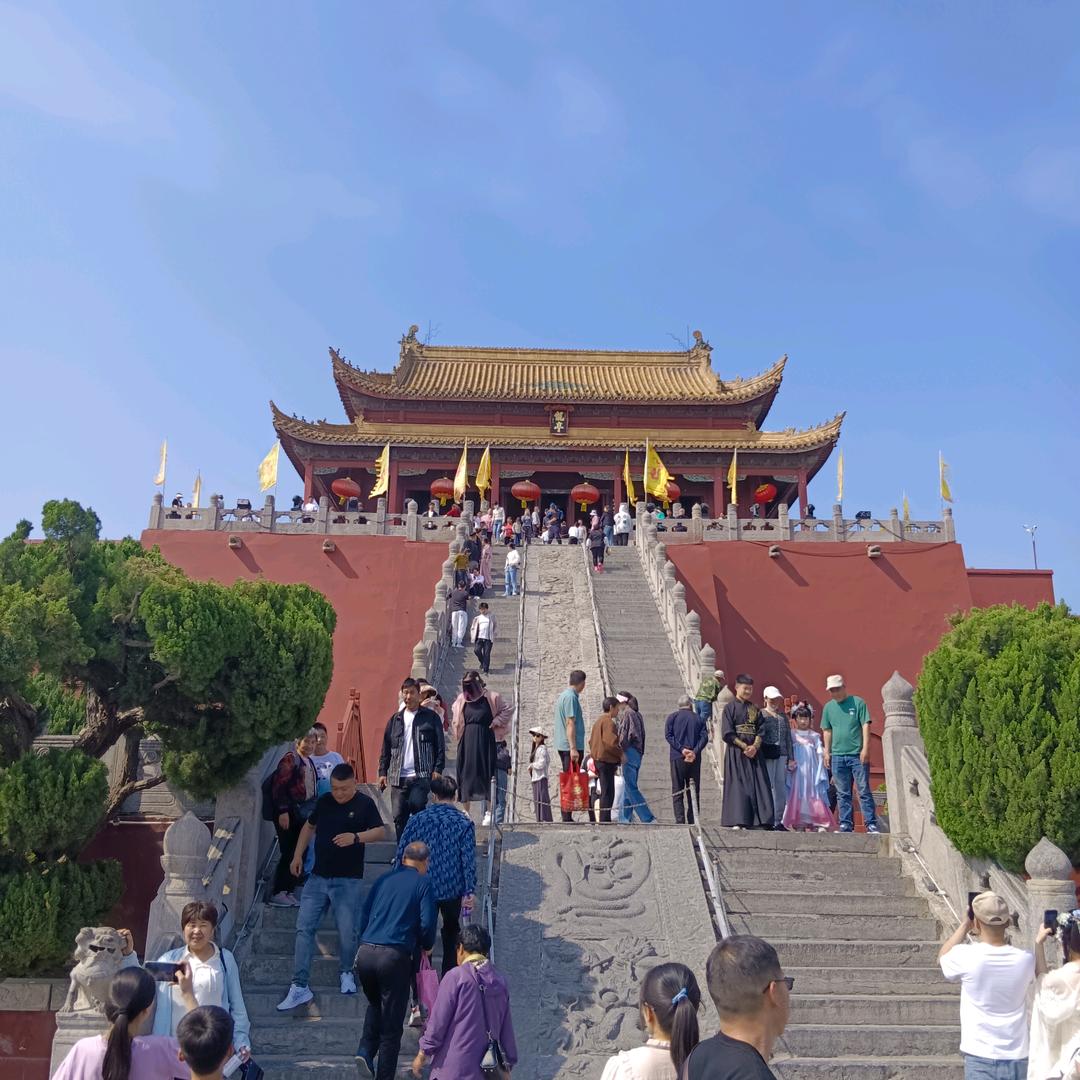 河南洋洋