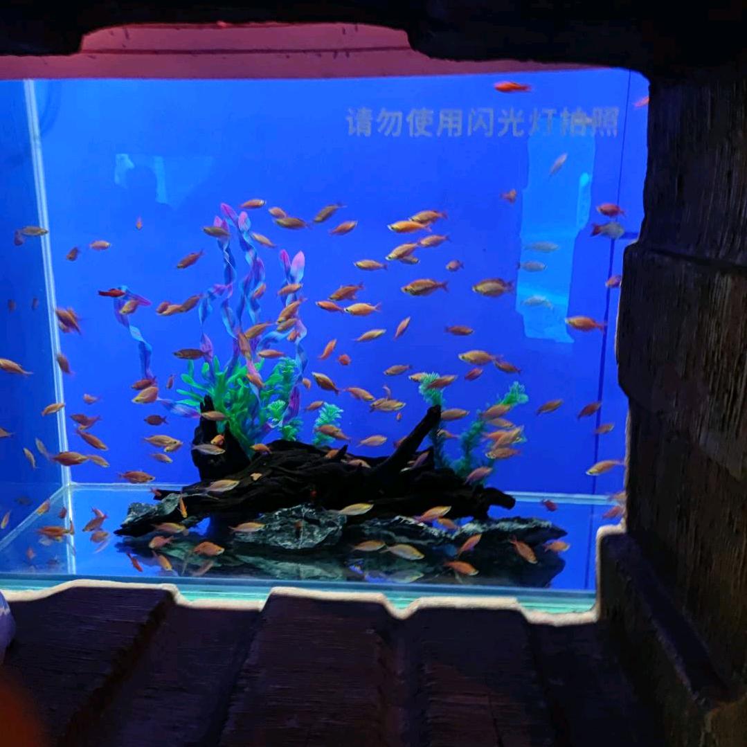 君子剑