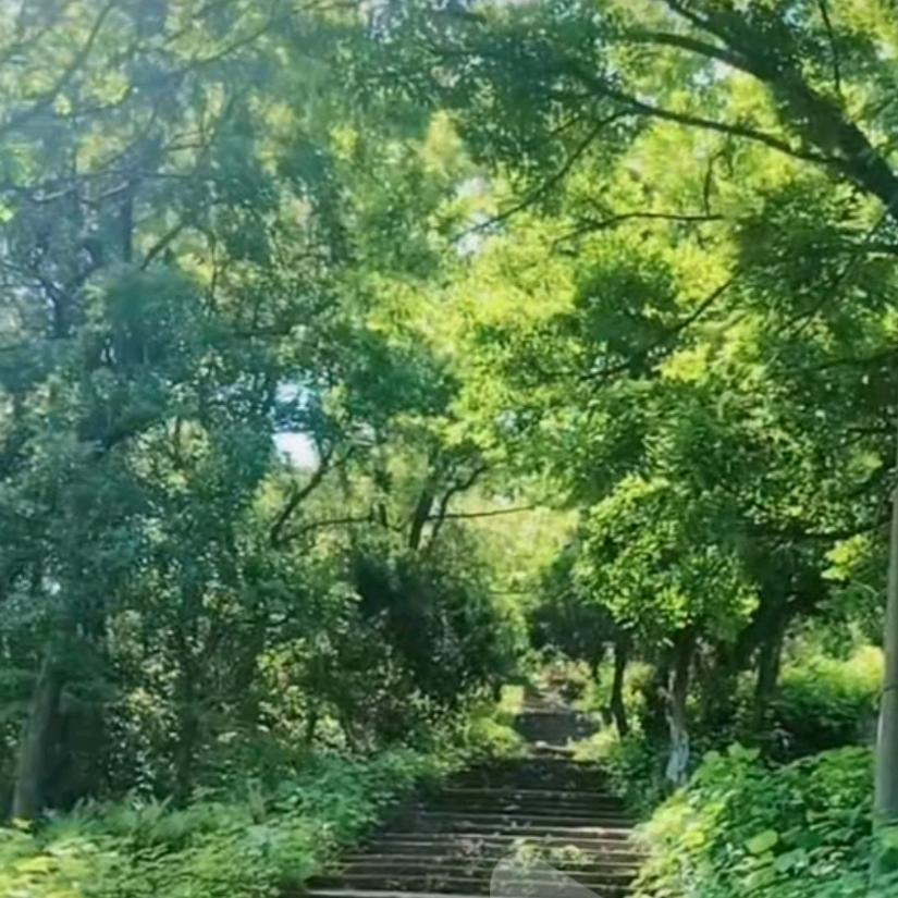 独步天下