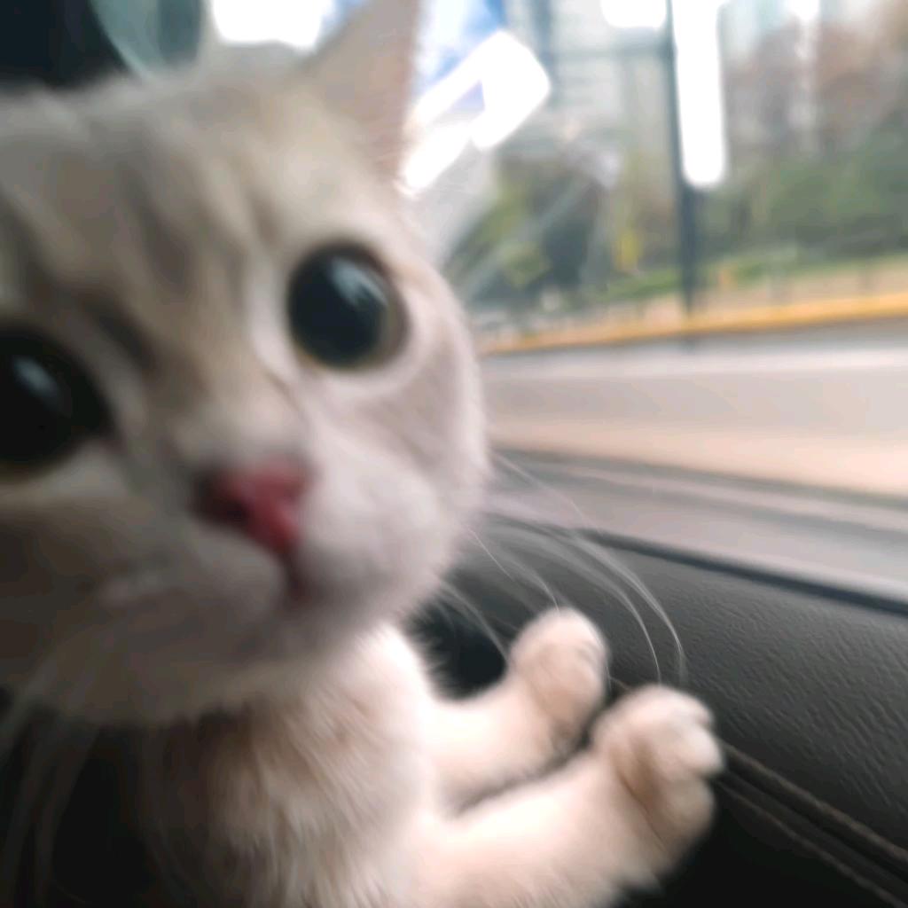 红炉