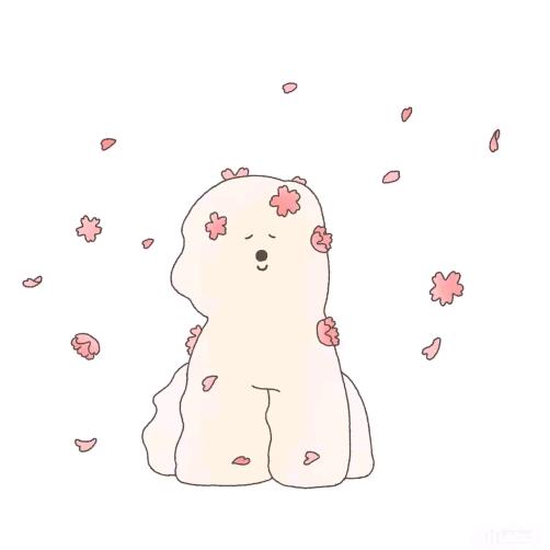 笨蛋小 zZ