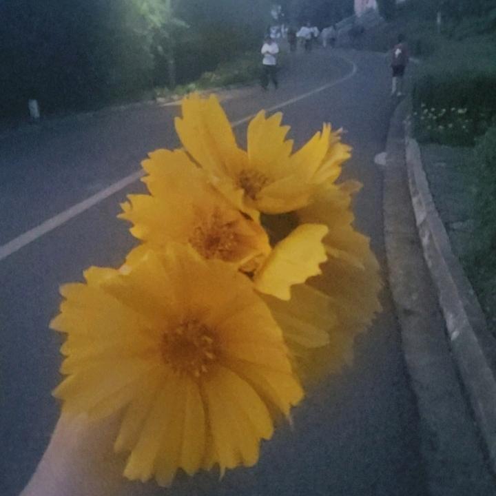以后的以后