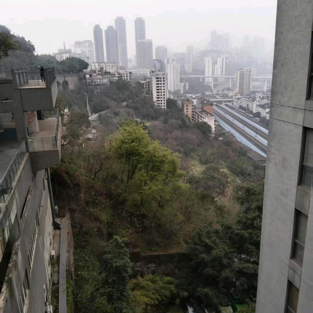 烧鸡公跑骚