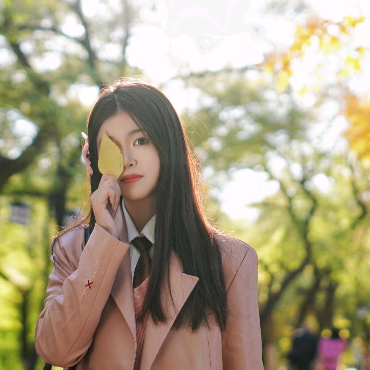 风辞卿