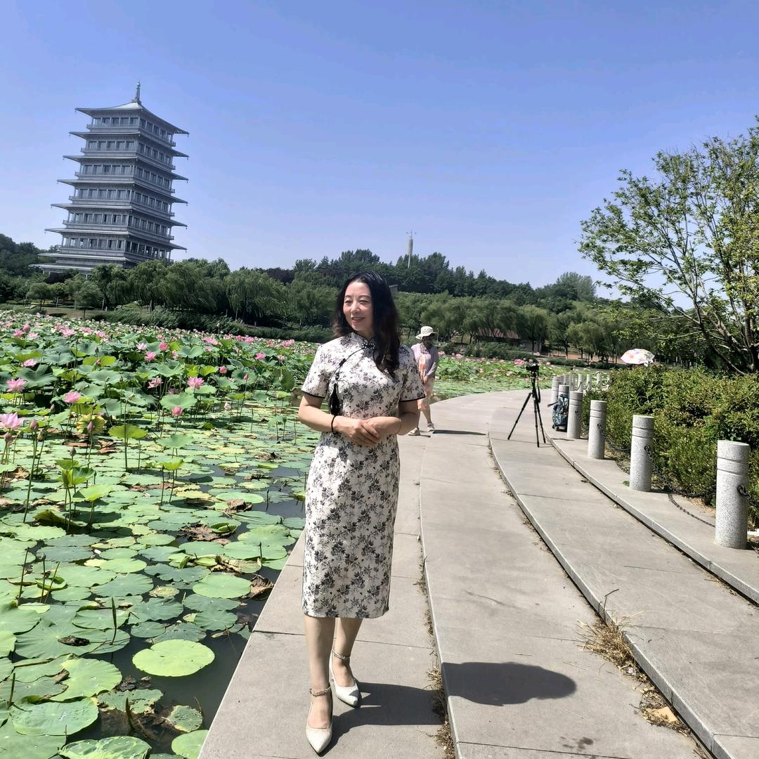 西安市未央区查理洗衣
