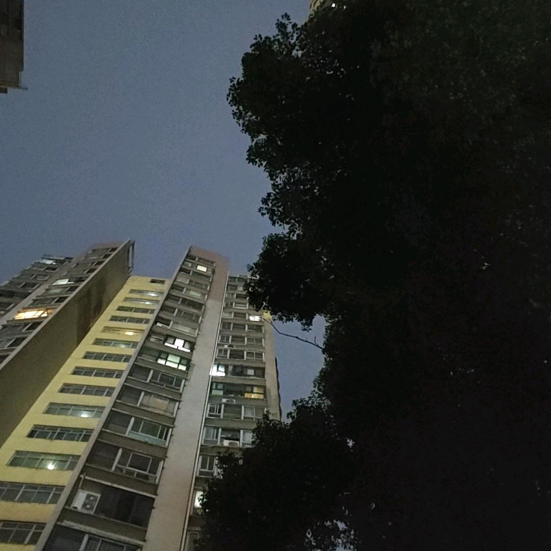 康琴子