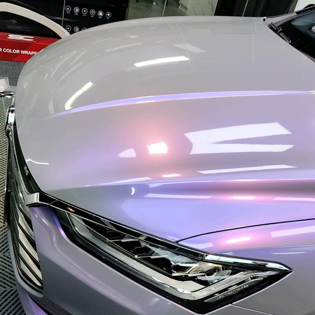 我的心给人喂了狗