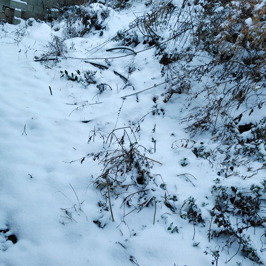 不想回忆过去。