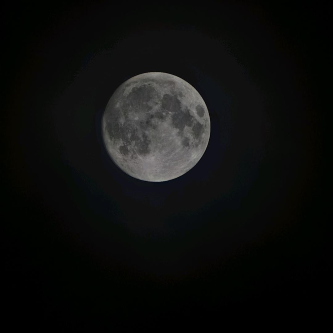 卡哈特美式户外工装精品店