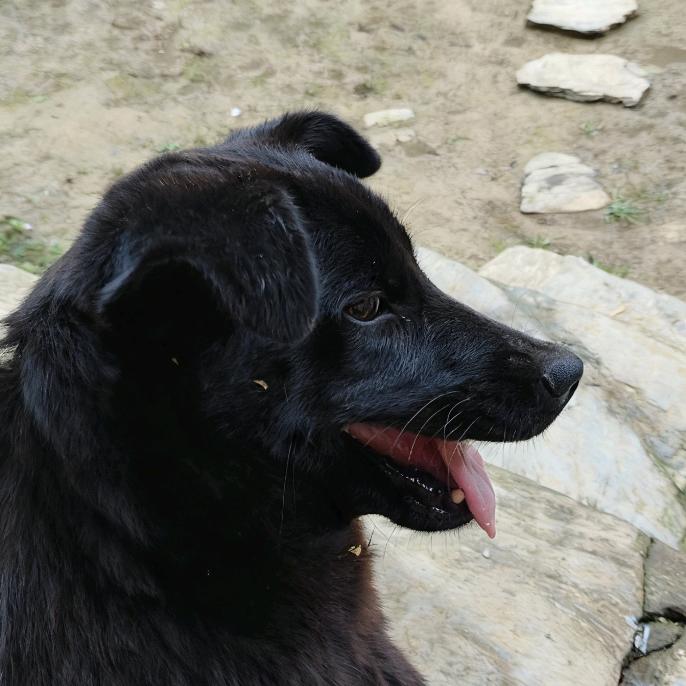 雨过了天晴了😝