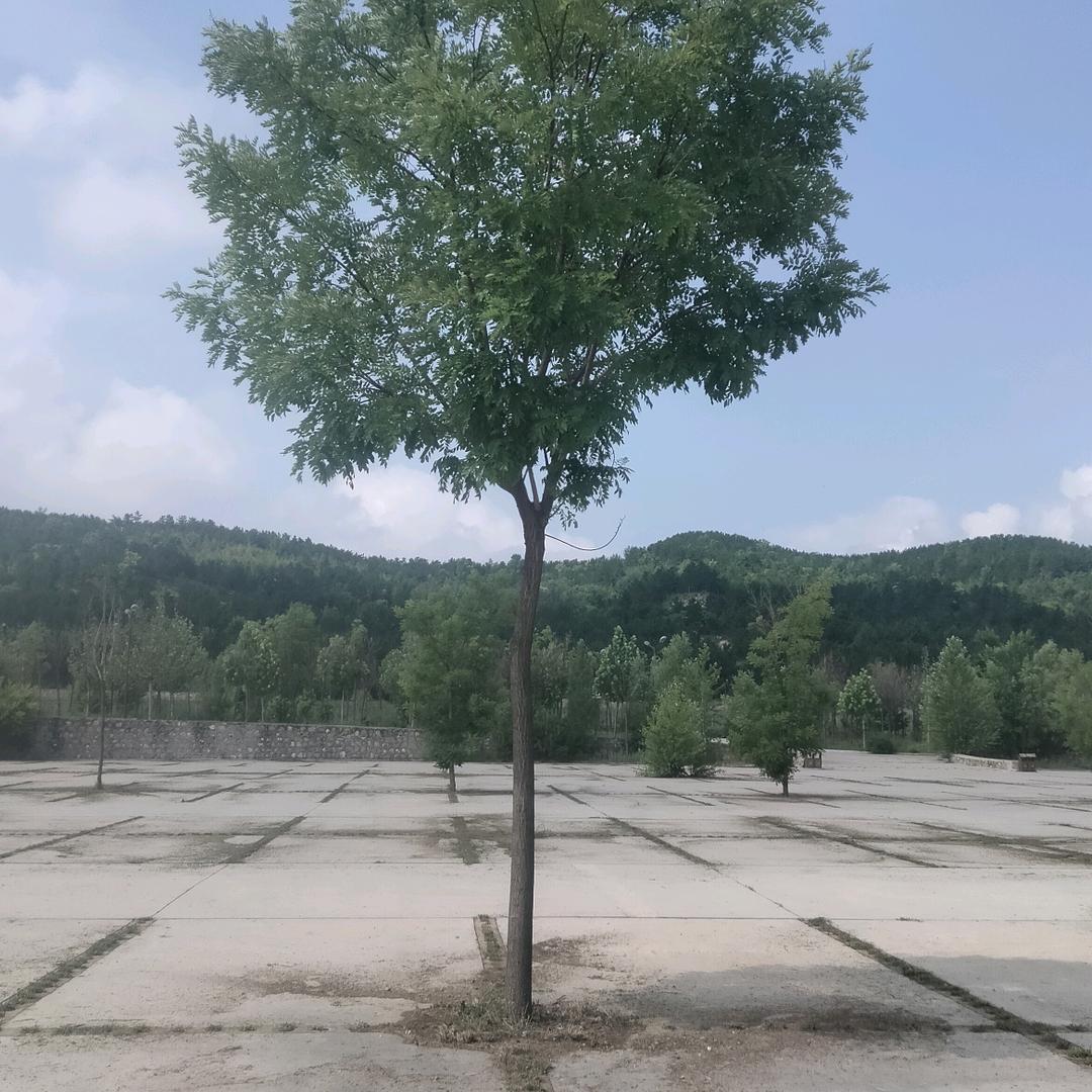 我很好《涞源》