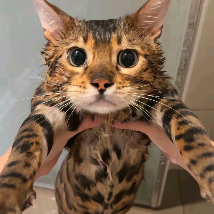 云边有个镜流流