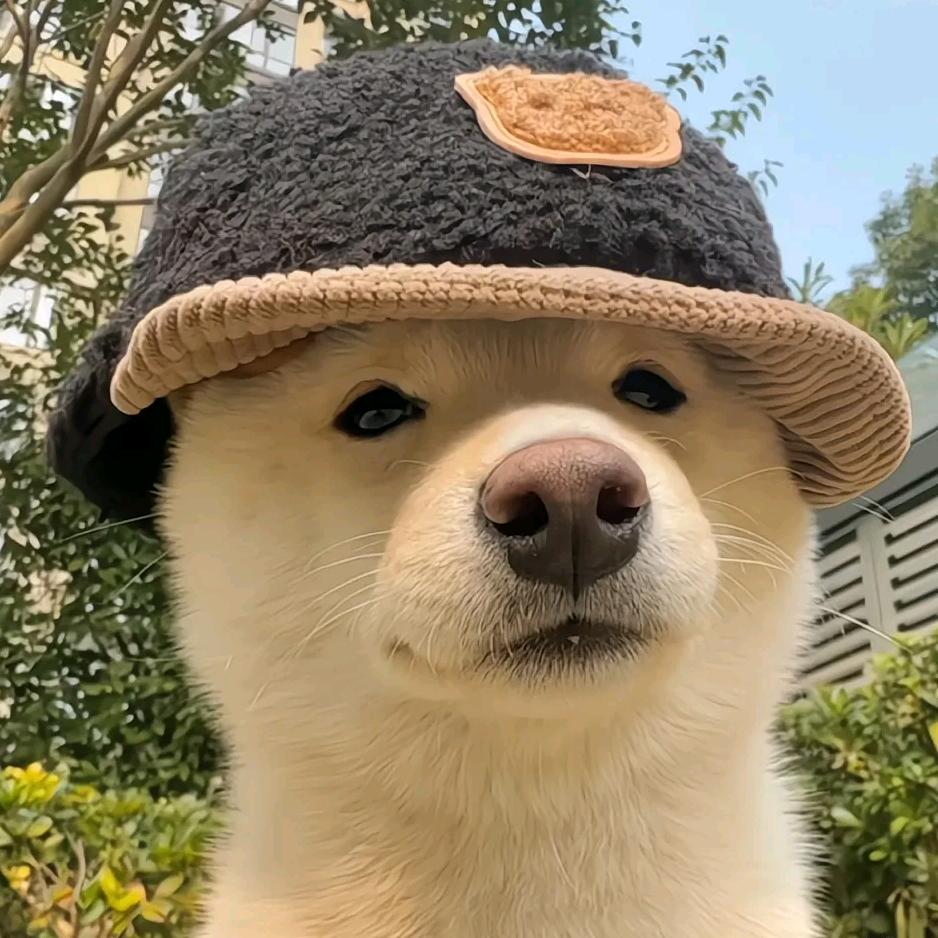 是小贺哇(戒卡版)🍂