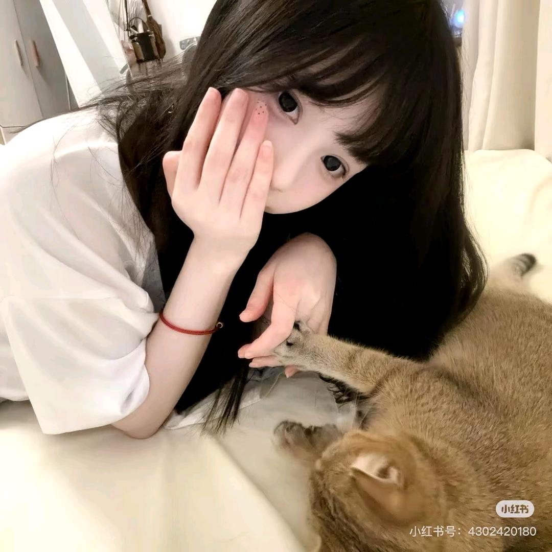 墨囊