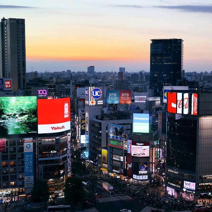 梨茶园