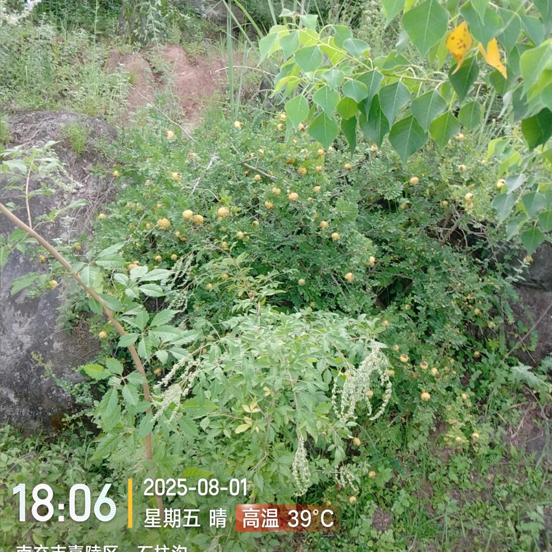 擦*而*
