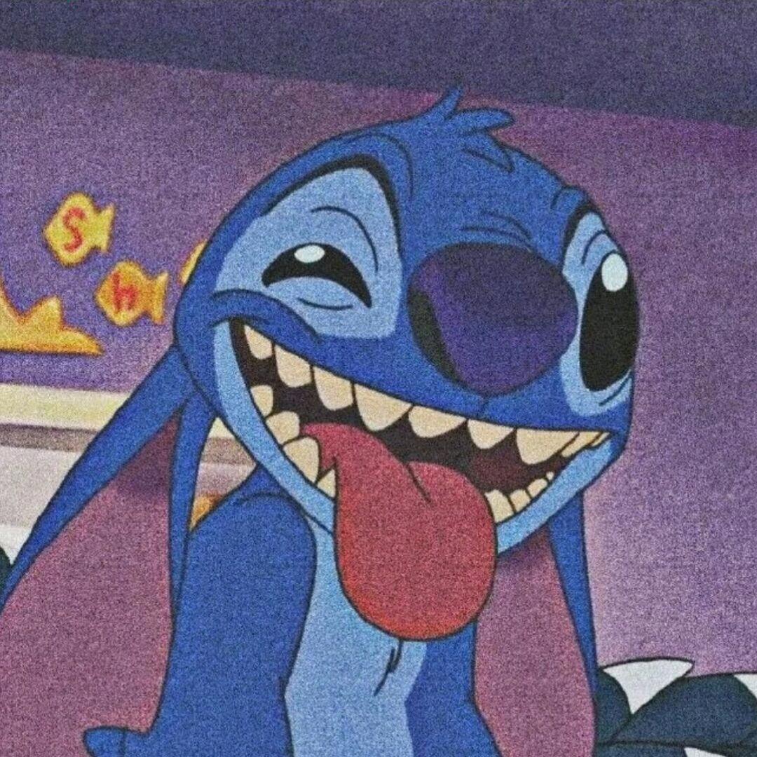 栋崽