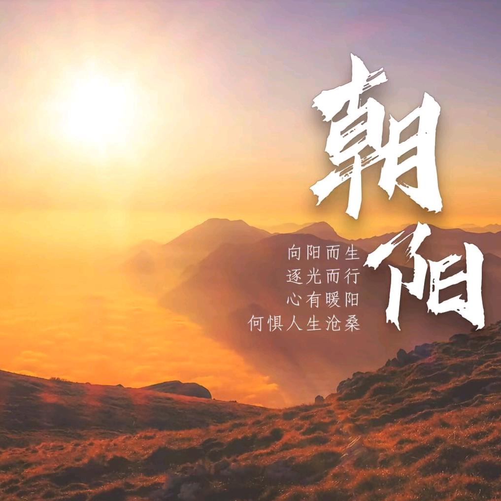 长春天曦二手车批发